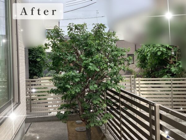 剪定後の写真
