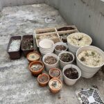 不用品回収処分の作業写真