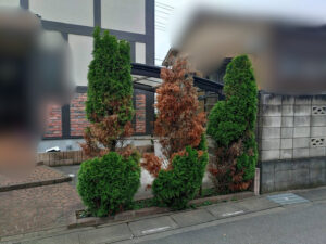 作業前写真