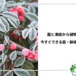 アイキャッチ_霜と凍結対策