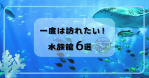 一度は訪れたい　水族館6選