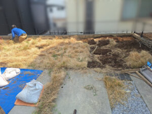 芝はがし、整地、抜根、防草シート張りの様子