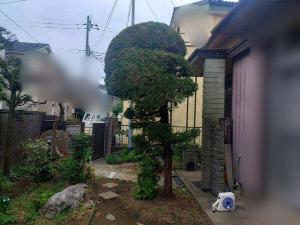 作業前写真