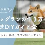 庭ドッグラン人工芝DIYガイド　アイキャッチ