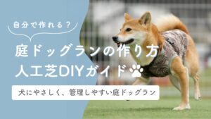 庭ドッグラン人工芝DIYガイド　アイキャッチ