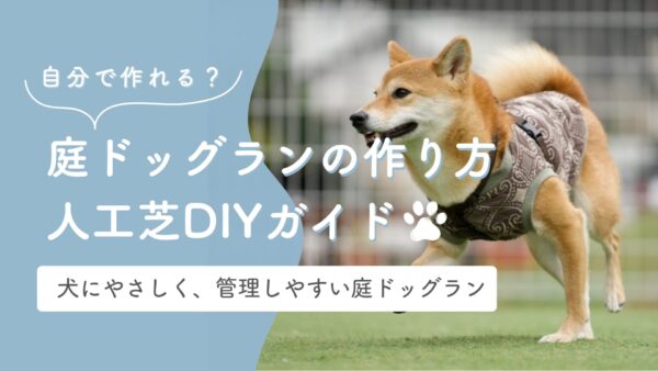 庭ドッグラン人工芝DIYガイド アイキャッチ