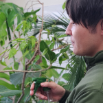 株式会社ニワナショナルの観葉植物お手入れサービス