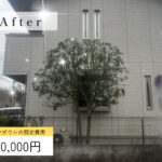 剪定の作業写真