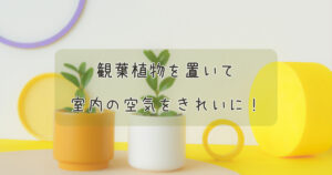 観葉植物を置いて室内の空気をきれいに！