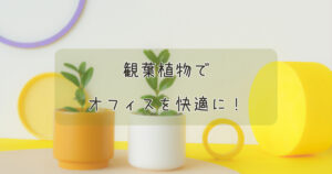 観葉植物でオフィスを快適に！