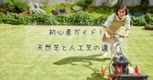 初心者ガイド！天然芝と人工芝の違い
