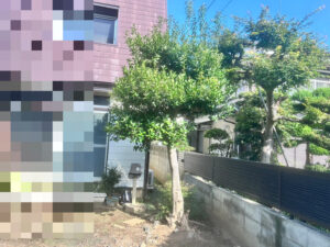 剪定の作業写真