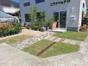 店舗前芝張り後2週間の様子