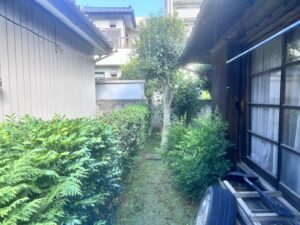 剪定の作業写真