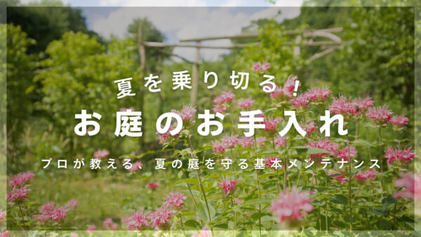 夏を乗り切るお庭のお手入れ　アイキャッチ