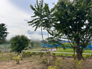 会社敷地内の除草作業（草刈り）　作業写真