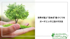 アイキャッチ画像_日本式森づくり