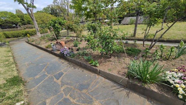 花植え作業写真