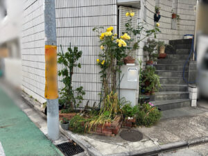 剪定・施肥・支柱立ての作業事例