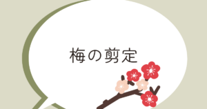 梅の剪定