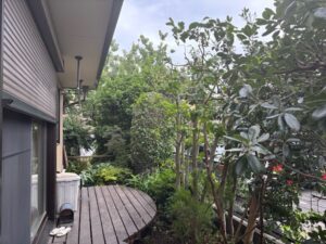 伐採・剪定・刈込の作業写真