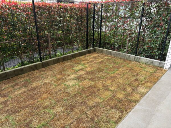 芝生の張り替えの作業写真