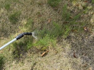 刈込・剪定・除草剤散布の作業写真