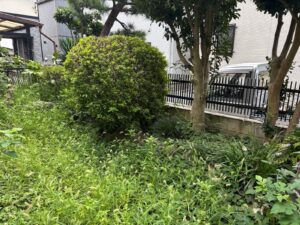 草刈り前写真