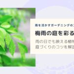 雨の日に美しく見える植物5選｜梅雨の庭とガーデニングを楽しむポイント　アイキャッチ