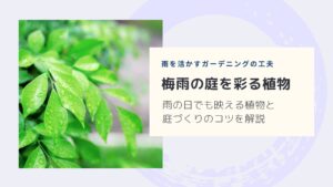 雨の日に美しく見える植物5選｜梅雨の庭とガーデニングを楽しむポイント　アイキャッチ