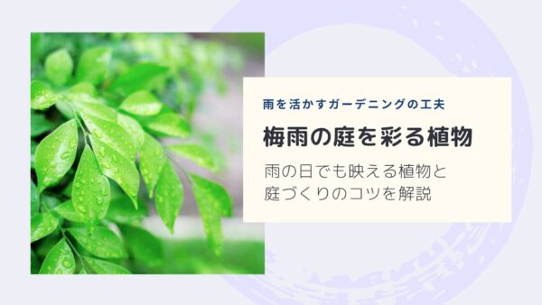 雨の日に美しく見える植物5選｜梅雨の庭とガーデニングを楽しむポイント　アイキャッチ