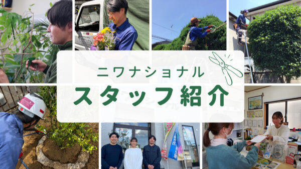 スタッフ紹介　アイキャッチ