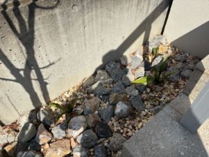 花植え・移植の作業写真