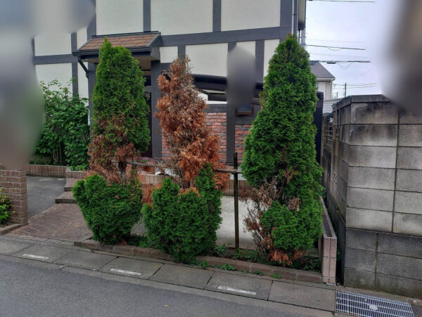作業前写真