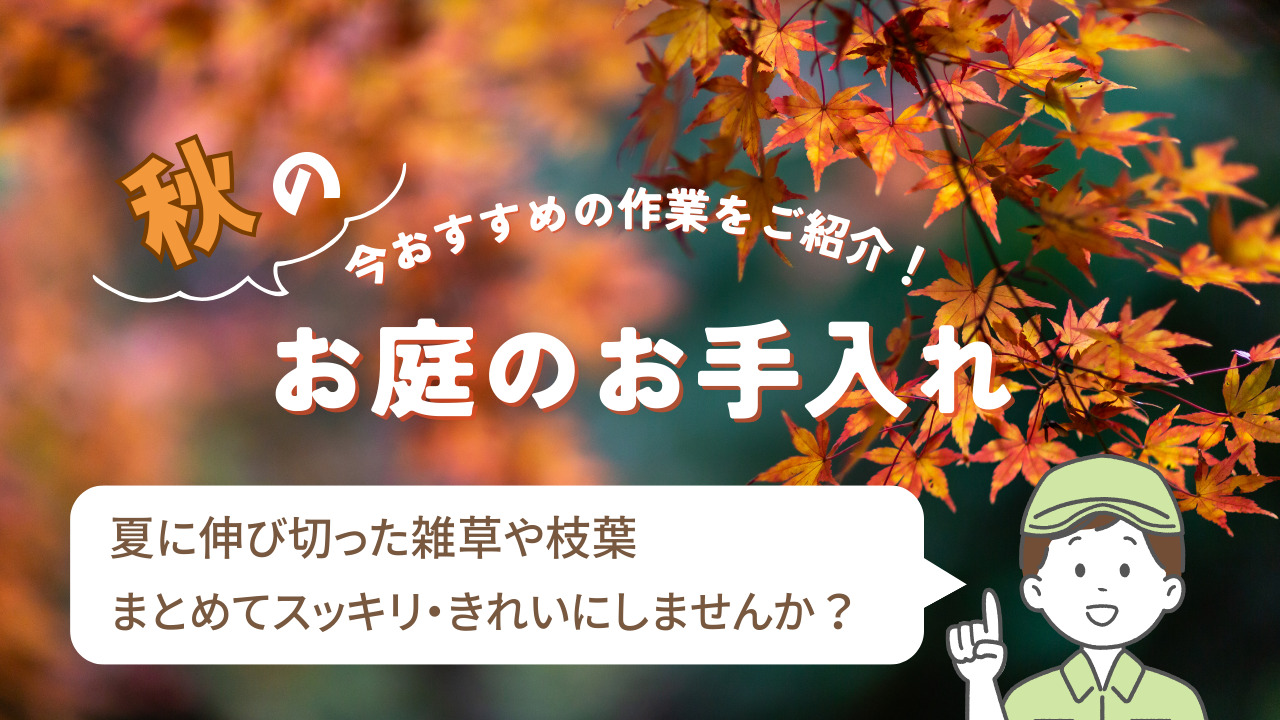 秋のご予約受付中】秋にオススメのお庭のお手入れ作業をご紹介します  
