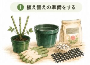 バラの植え替え手順