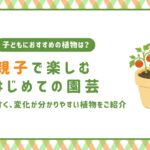 親子で楽しむはじめての園芸　アイキャッチ