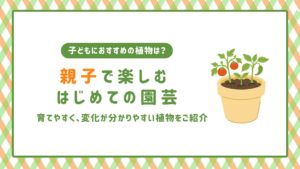 親子で楽しむはじめての園芸　アイキャッチ