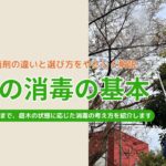 庭木の消毒の基本　アイキャッチ