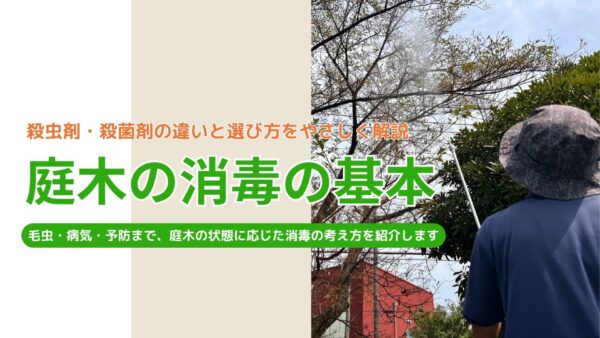 庭木の消毒の基本　アイキャッチ