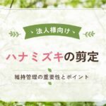 法人様向け　ハナミズキの剪定