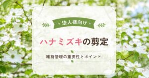 法人様向け　ハナミズキの剪定