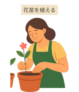 花植えの手順　花苗を植える