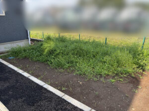 作業前写真