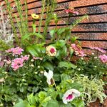 抜根,花植え,植樹の作業写真