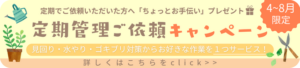 定期管理キャンペーン