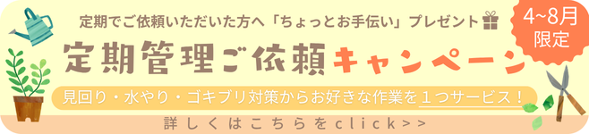 定期管理ご依頼キャンペーン