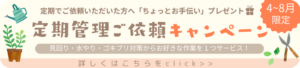 定期管理キャンペーン