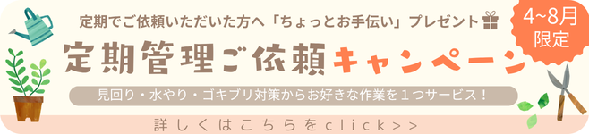 定期管理ご依頼キャンペーン