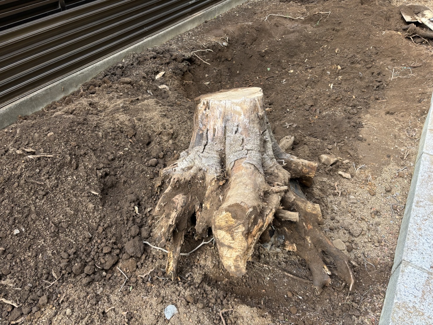 マンション植栽リニューアル作業写真